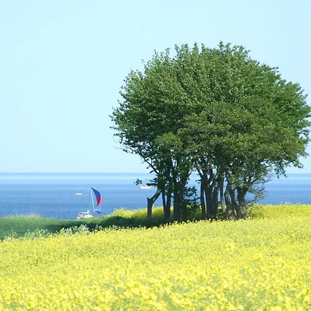 아파트 Strand-oase Schönhagen